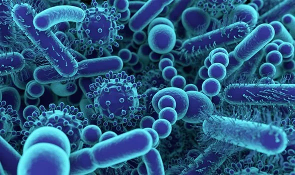 Coronavirus Covid-19 Corona Virus Protection Update. With The Threat Of Corona (Covid-19) Virus, Deep Cleaning, Sanitizing And Decontamination Is So Important