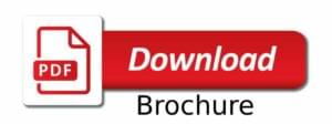Download The Brochure Button