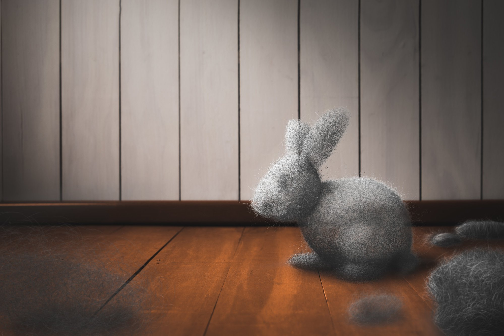 dust bunny