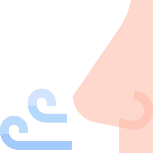 inhale, smell, nose